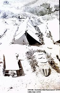 TUNISIE 1939  66 EME  REGIMENT D ARTILLERIE (3)